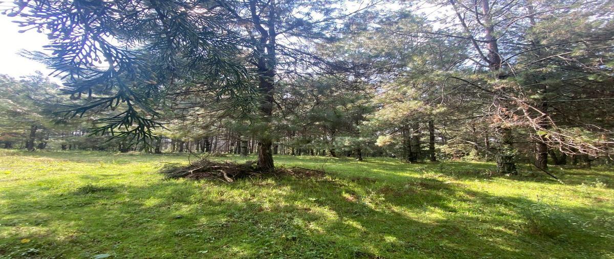 Foto de terreno habitacional en venta en  , rincón villa del valle, valle de bravo, méxico, 25725578 No. 04