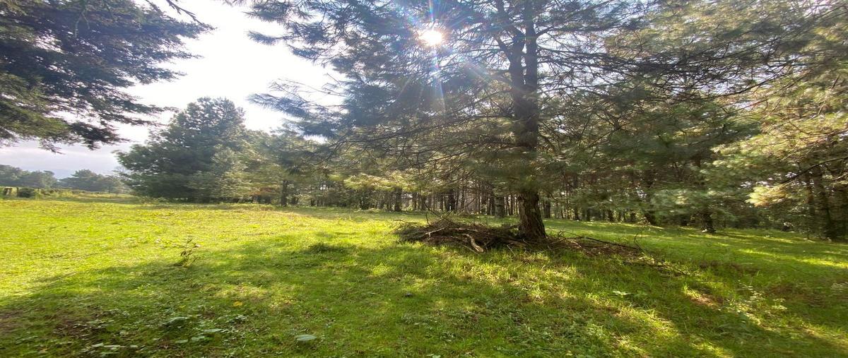 Foto de terreno habitacional en venta en  , rincón villa del valle, valle de bravo, méxico, 25725578 No. 05