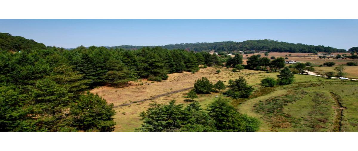 Foto de terreno habitacional en venta en  , rincón villa del valle, valle de bravo, méxico, 0 No. 05