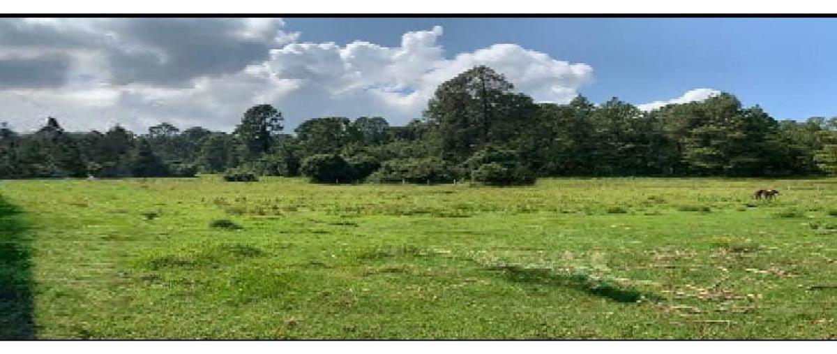 Foto de terreno habitacional en venta en  , rincón villa del valle, valle de bravo, méxico, 0 No. 03