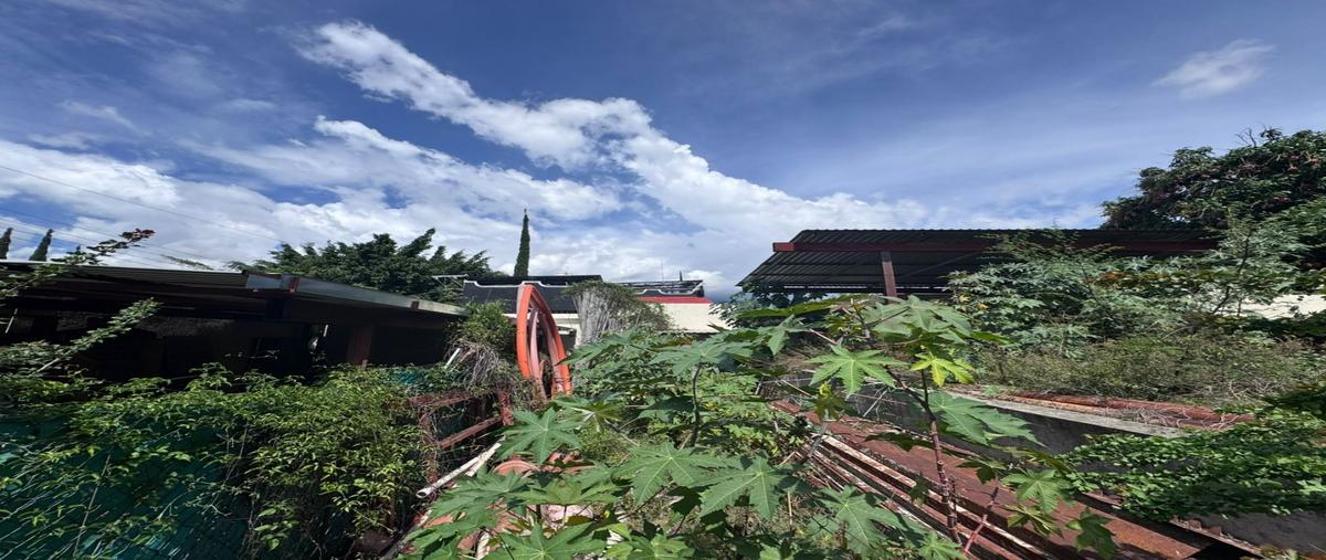 Foto de terreno habitacional en venta en  , rinconada de ocotepec, chilpancingo de los bravo, guerrero, 0 No. 05