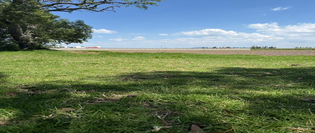 Foto de terreno habitacional en venta en  , rinconada de tecaxic, zinacantepec, méxico, 0 No. 04