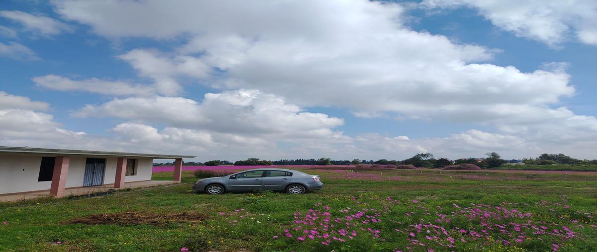 Foto de terreno habitacional en venta en  , rinconada de tecaxic, zinacantepec, méxico, 0 No. 05
