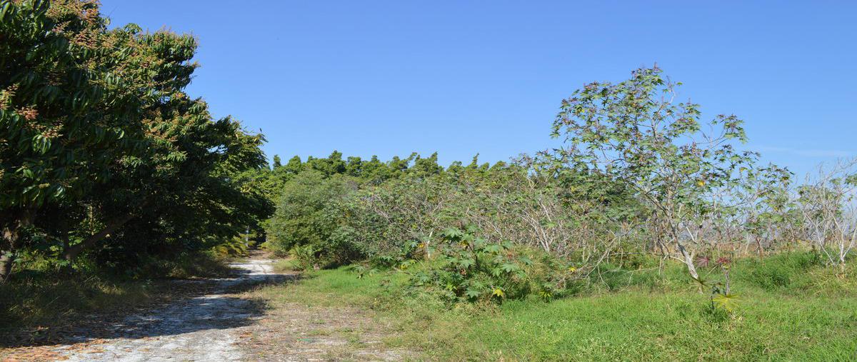 Foto de terreno habitacional en venta en  , rinconada las palmas, jiutepec, morelos, 0 No. 05