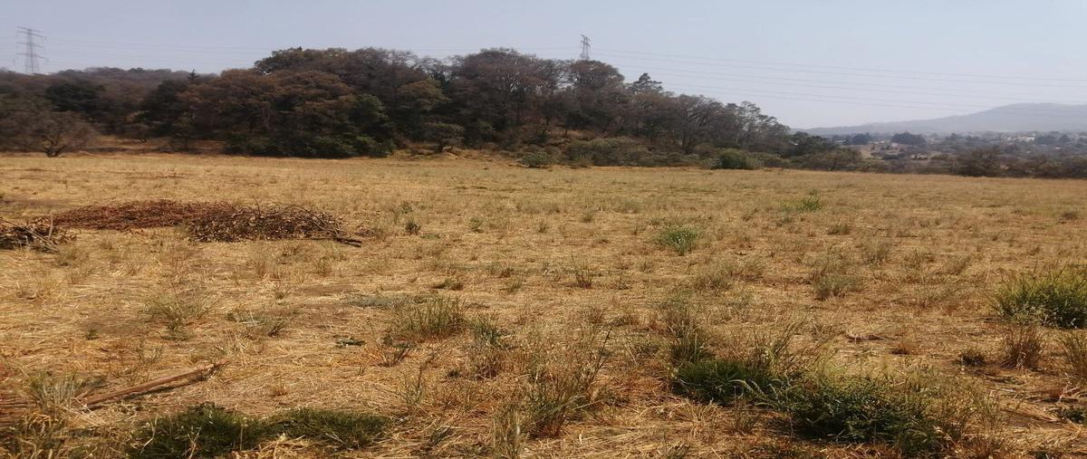 Foto de terreno habitacional en venta en rinconada san pablo, xochimilco, ciudad de méxico , rinconada san pablo, xochimilco, df / cdmx, 24710296 No. 04