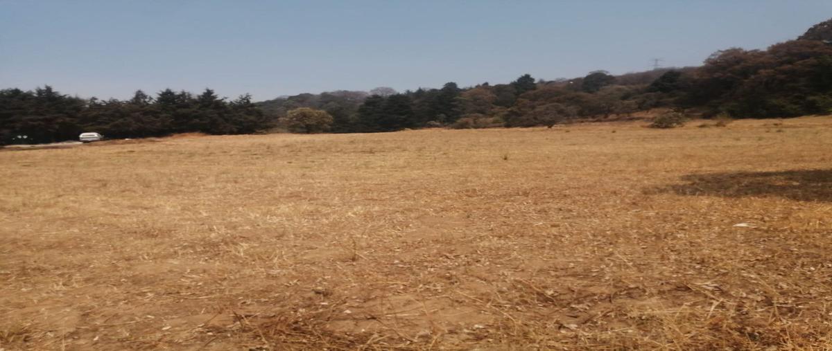 Foto de terreno habitacional en venta en rinconada san pablo, xochimilco, ciudad de méxico , rinconada san pablo, xochimilco, df / cdmx, 24710296 No. 05