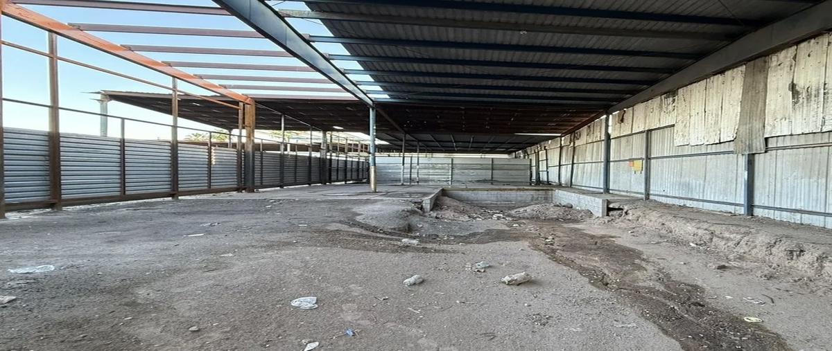 Foto de bodega en renta en río armería , gonzález ortega, mexicali, baja california, 0 No. 04