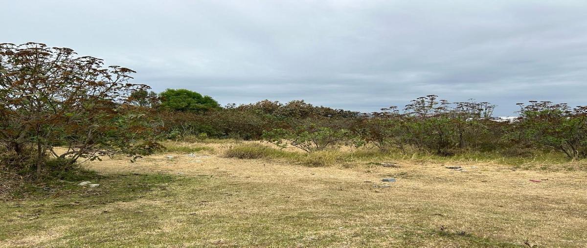 Foto de terreno habitacional en venta en rio blanco , residencial tesistán, zapopan, jalisco, 0 No. 05