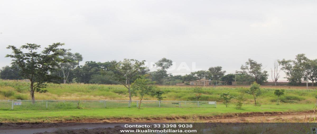 Foto de terreno habitacional en venta en rio blanco , valles de nuevo méxico (la periquera), zapopan, jalisco, 0 No. 03