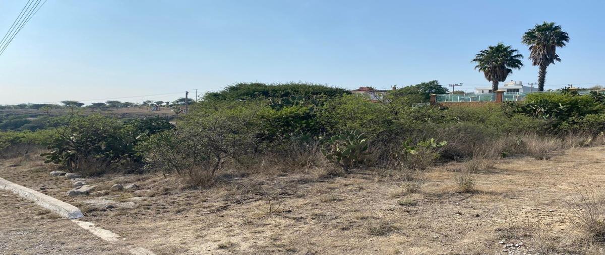 Foto de terreno habitacional en venta en rio colorado l18, presa escondida, tepeji del río de ocampo, hidalgo, 26715590 No. 03