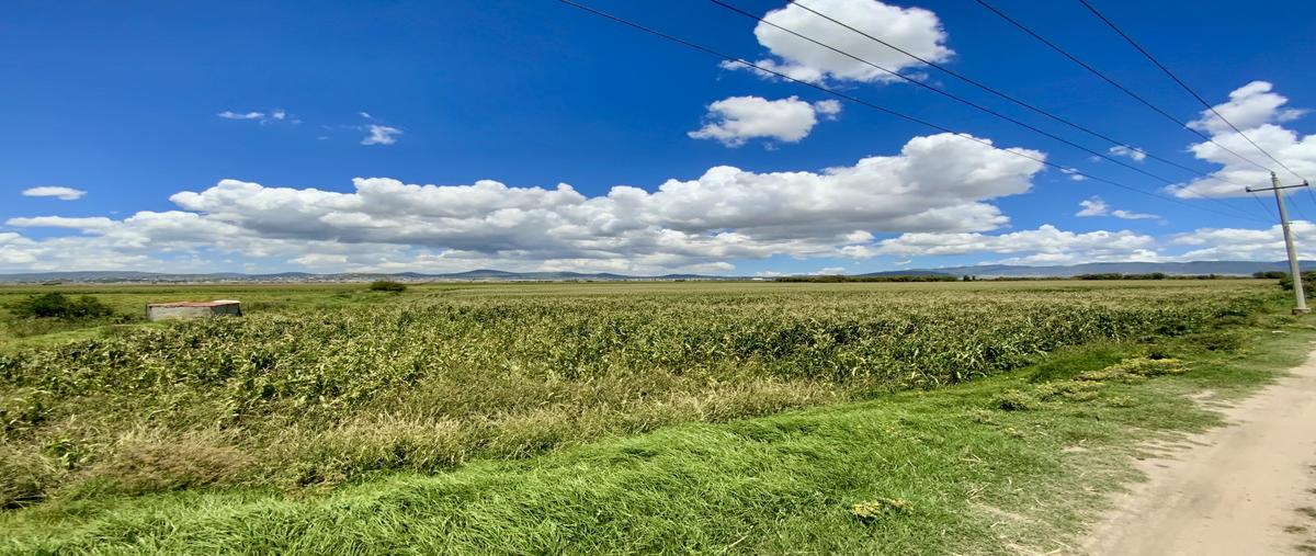 Foto de terreno habitacional en venta en rio de las avenidas , san josé palma gorda, mineral de la reforma, hidalgo, 30535606 No. 04