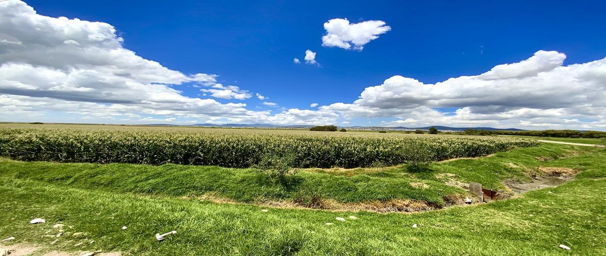 Foto de terreno habitacional en venta en rio de las avenidas , san josé palma gorda, mineral de la reforma, hidalgo, 30535606 No. 05