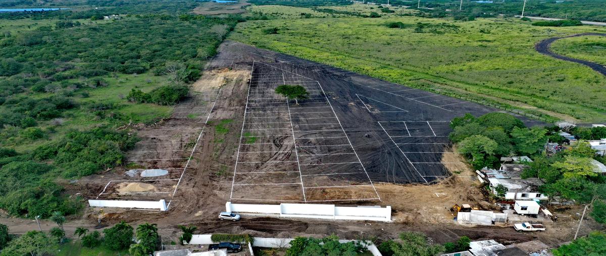 Foto de terreno habitacional en venta en rio de santiago , nuevo madero, altamira, tamaulipas, 27440267 No. 03
