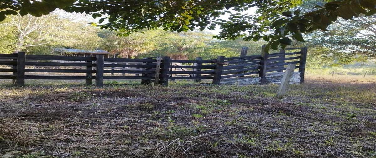 Foto de terreno habitacional en venta en  , río escondido, bacalar, quintana roo, 30889686 No. 03