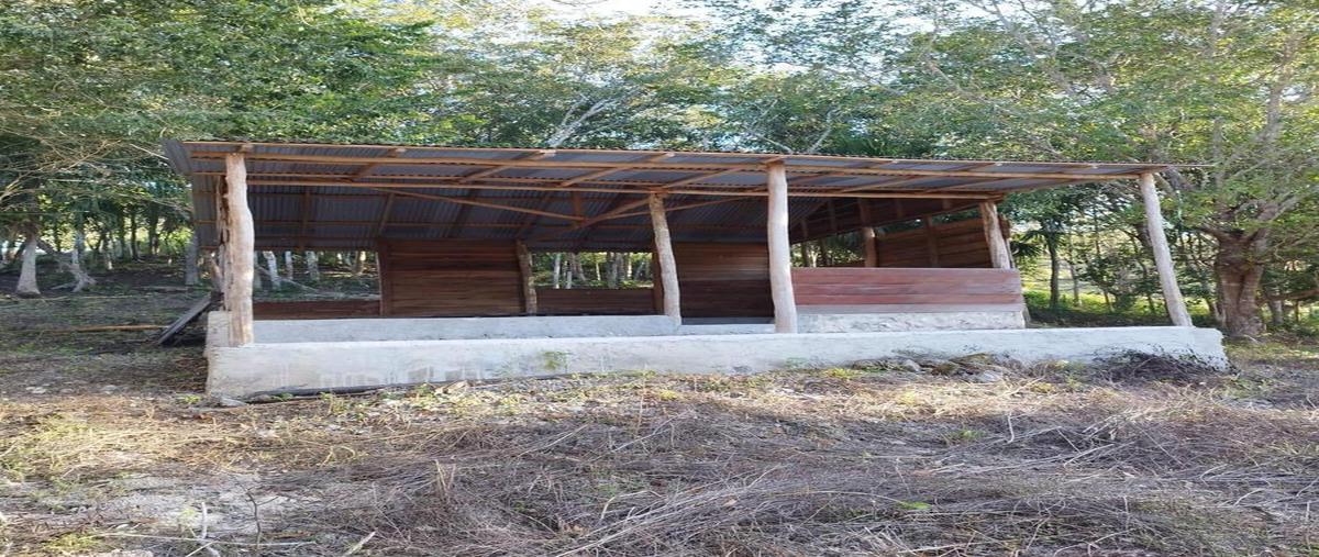 Foto de terreno habitacional en venta en  , río escondido, bacalar, quintana roo, 30889686 No. 04