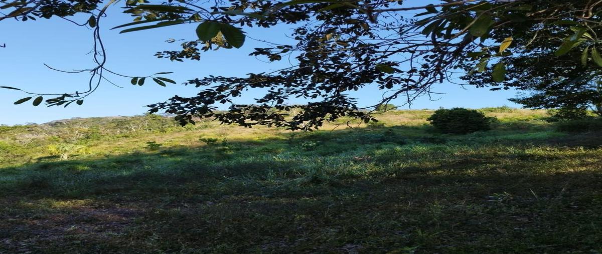 Foto de terreno habitacional en venta en  , río escondido, bacalar, quintana roo, 30889686 No. 05