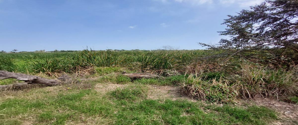 Foto de terreno comercial en venta en rio guayalejo , 15 de mayo, ciudad madero, tamaulipas, 28174228 No. 05