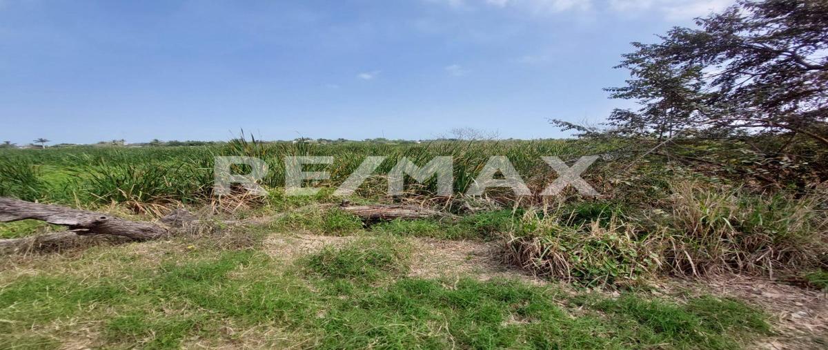 Foto de terreno comercial en rio guayalejo , 15 de mayo, ciudad madero, tamaulipas, 0 foto 05 Foto de terreno comercial en venta en rio guayalejo , 15 de mayo, ciudad madero, tamaulipas, 0 No. 05