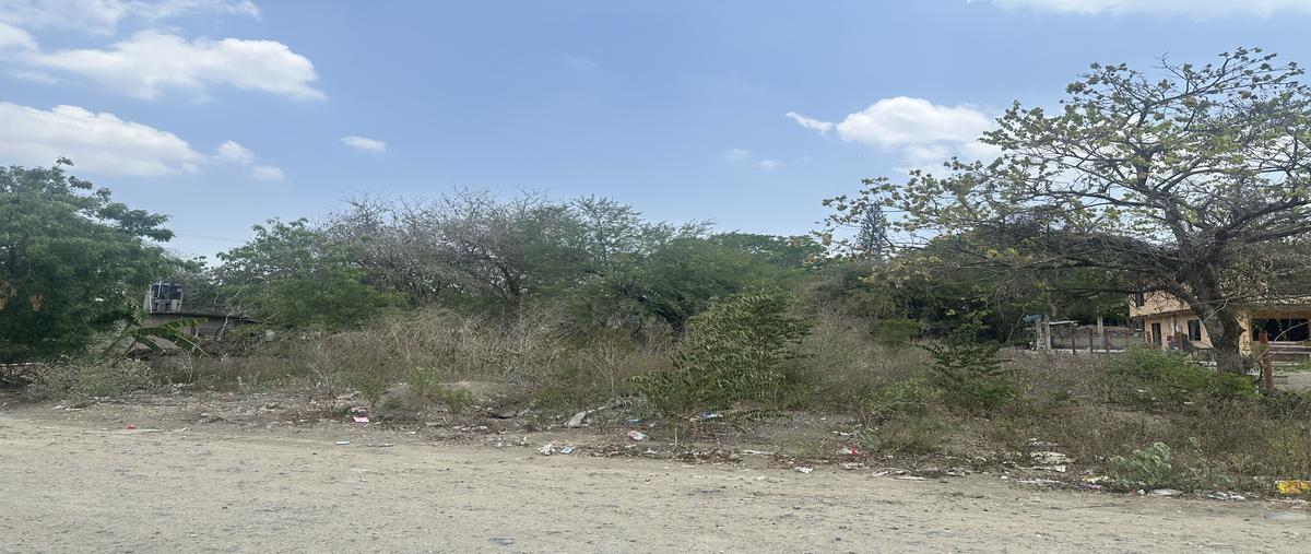 Foto de terreno habitacional en río guayalejo s/n , rio tamiahua, altamira, tamaulipas, 30017585 foto 01 Foto de terreno habitacional en venta en río guayalejo s/n , rio tamiahua, altamira, tamaulipas, 30017585 No. 01