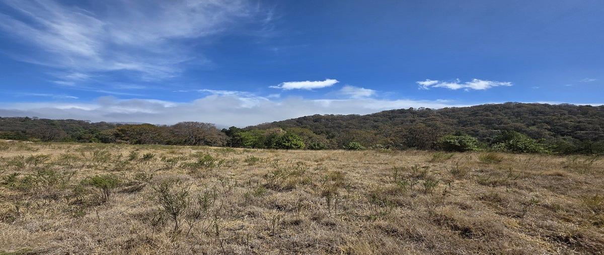 Foto de terreno habitacional en venta en río hondito , coapanoaya, ocoyoacac, méxico, 0 No. 03