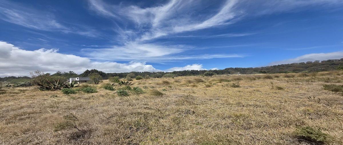 Foto de terreno habitacional en venta en río hondito , coapanoaya, ocoyoacac, méxico, 0 No. 04