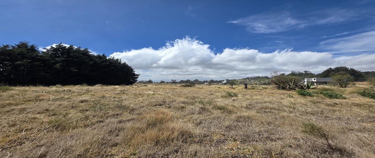 Foto de terreno habitacional en venta en río hondito , coapanoaya, ocoyoacac, méxico, 0 No. 05