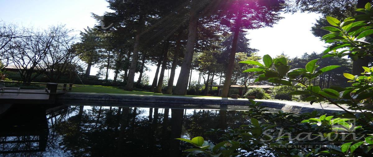 Foto de casa en venta en  , río hondito, ocoyoacac, méxico, 30208958 No. 03