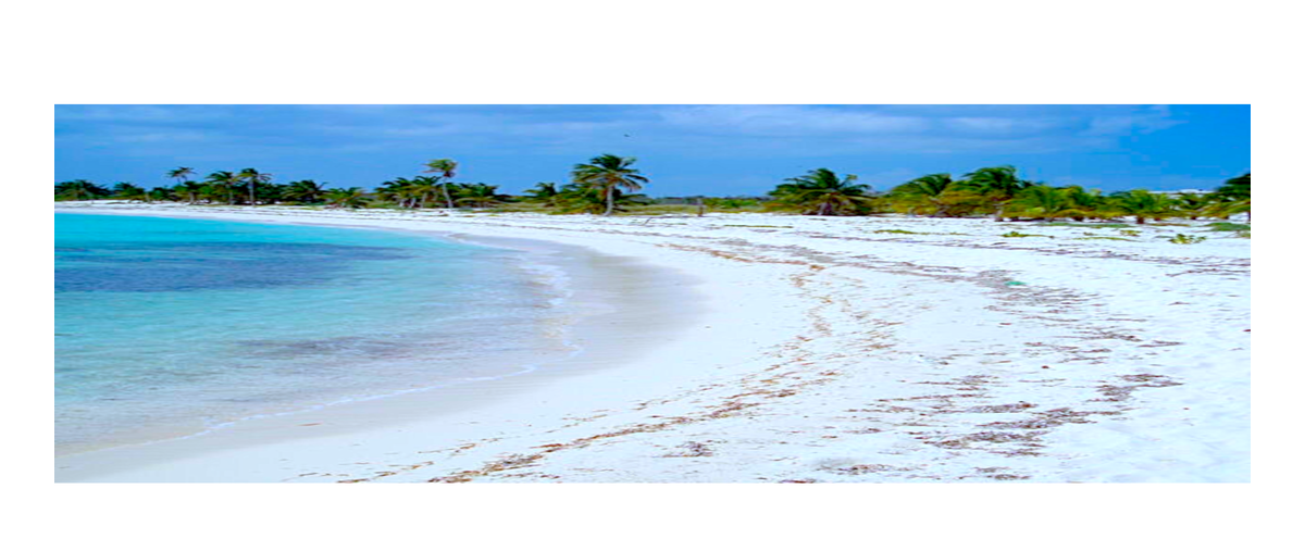 Foto de terreno habitacional en venta en rio indio - punta herrero , chunhuhub, felipe carrillo puerto, quintana roo, 26368155 No. 04