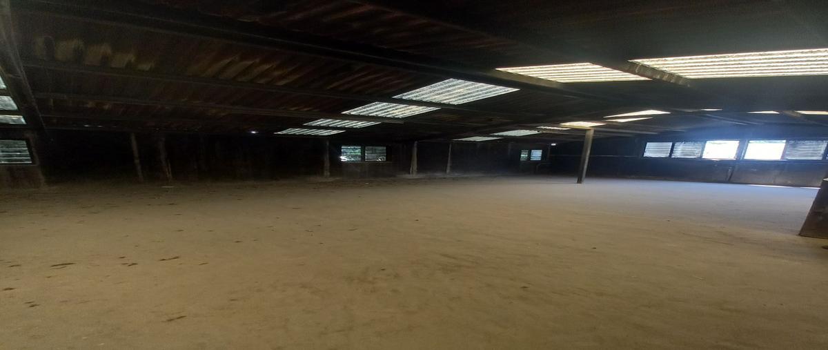 Foto de bodega en venta en rio jamapo , atlas, guadalajara, jalisco, 27392606 No. 03