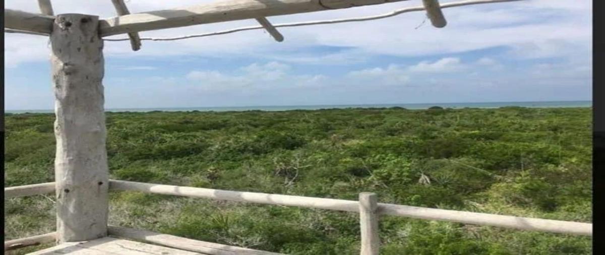 Foto de terreno habitacional en venta en  , rio lagartos, río lagartos, yucatán, 29492472 No. 04