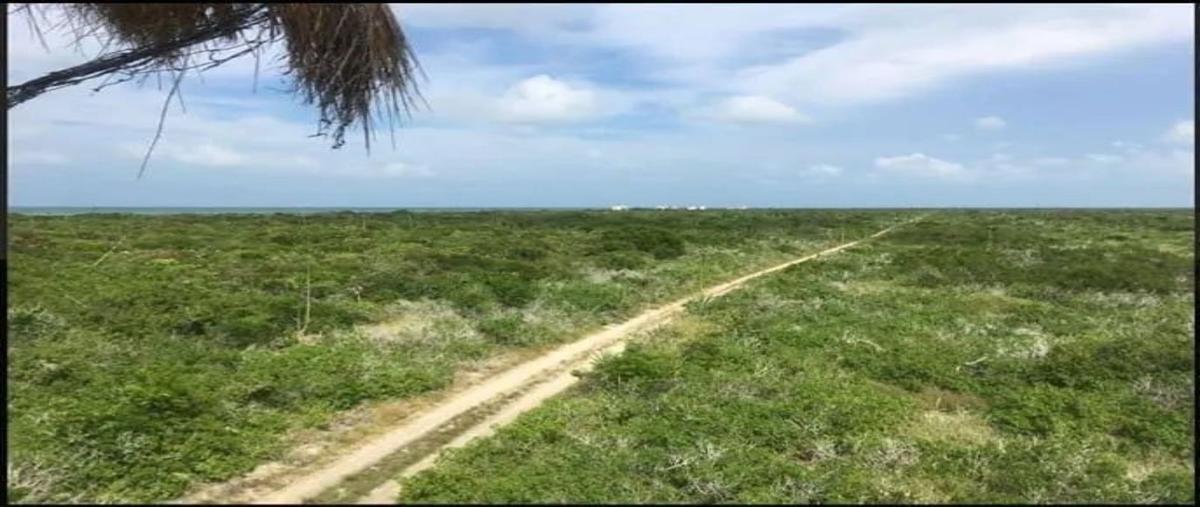 Foto de terreno habitacional en venta en  , rio lagartos, río lagartos, yucatán, 29492472 No. 05