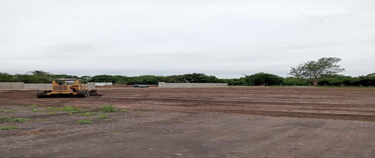 Foto de terreno habitacional en venta en rio moctezuma , nuevo madero, altamira, tamaulipas, 27435779 No. 05