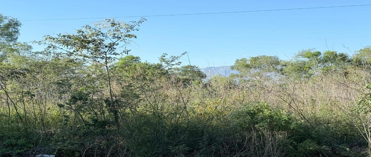 Foto de terreno habitacional en venta en rio nilo l16, gil de leyva, montemorelos, nuevo león, 0 No. 03