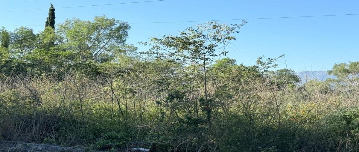 Foto de terreno habitacional en venta en rio nilo l16, gil de leyva, montemorelos, nuevo león, 0 No. 05