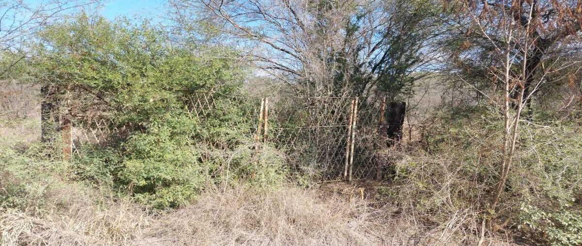 Foto de terreno habitacional en rio rodano , palmitos (hacienda palmitos), cadereyta jiménez, nuevo león, 29041327 foto 05 Foto de terreno habitacional en venta en rio rodano , palmitos (hacienda palmitos), cadereyta jiménez, nuevo león, 29041327 No. 05