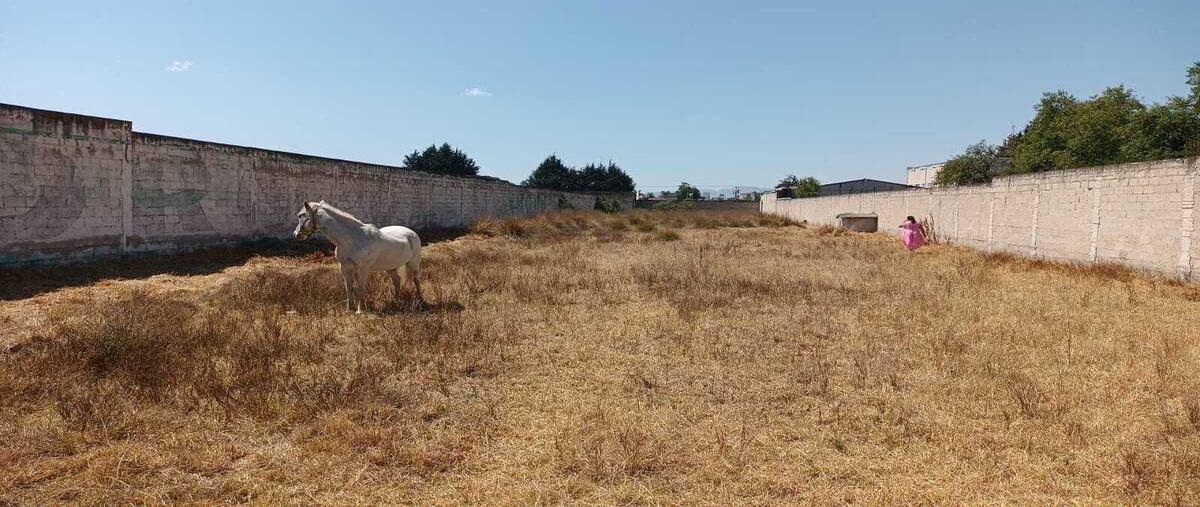 Foto de terreno habitacional en río , santa maría, ocoyoacac, méxico, 0 foto 05 Foto de terreno habitacional en renta en río , santa maría, ocoyoacac, méxico, 0 No. 05