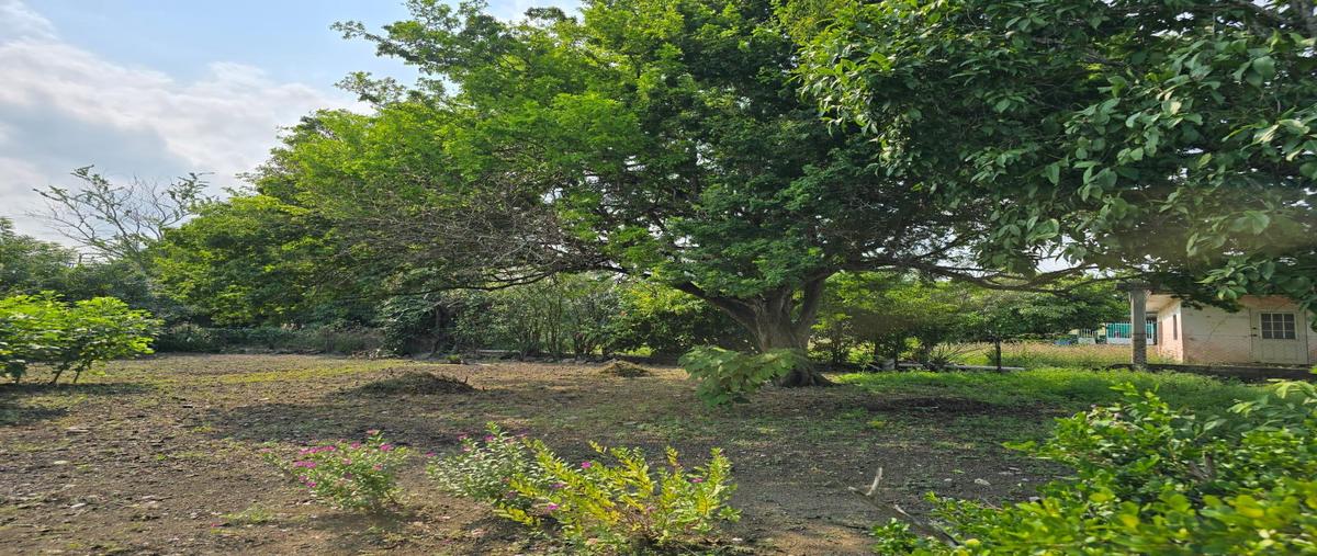 Foto de terreno habitacional en , rio tamiahua, altamira, tamaulipas, 0 foto 02 Foto de terreno habitacional en venta en , rio tamiahua, altamira, tamaulipas, 0 No. 02