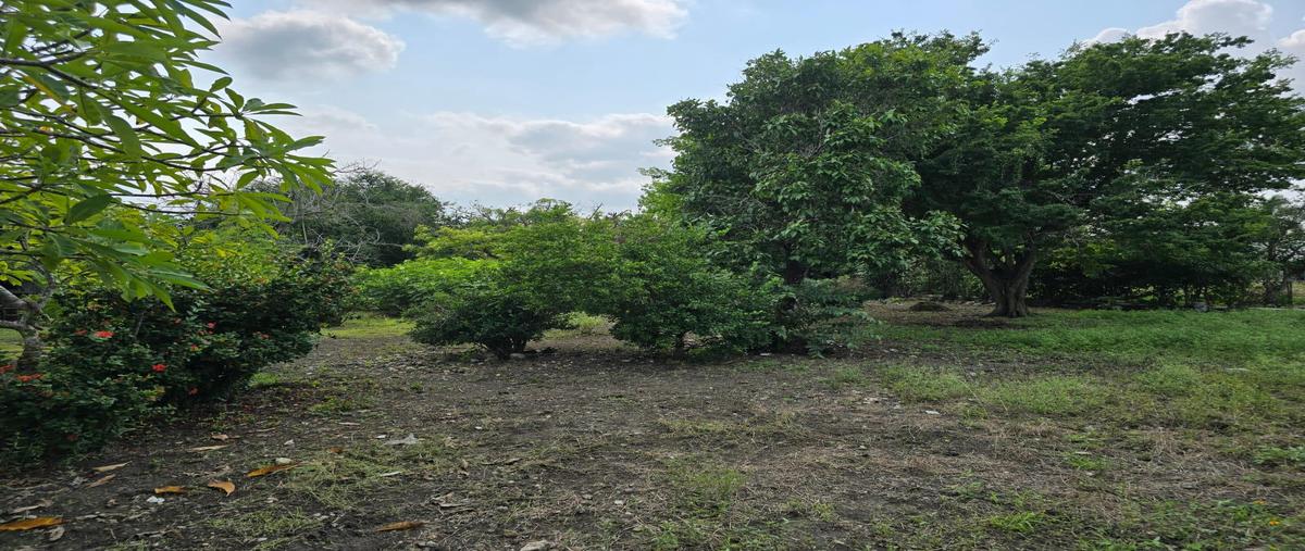 Foto de terreno habitacional en , rio tamiahua, altamira, tamaulipas, 0 foto 03 Foto de terreno habitacional en venta en , rio tamiahua, altamira, tamaulipas, 0 No. 03