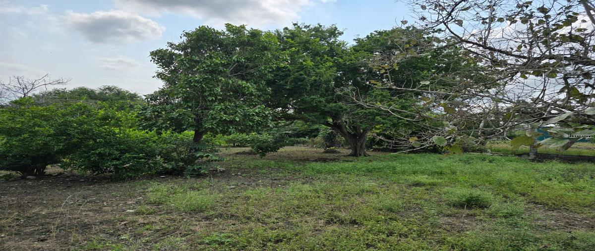 Foto de terreno habitacional en , rio tamiahua, altamira, tamaulipas, 0 foto 04 Foto de terreno habitacional en venta en , rio tamiahua, altamira, tamaulipas, 0 No. 04