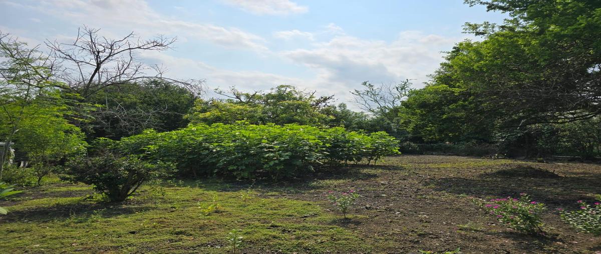 Foto de terreno habitacional en , rio tamiahua, altamira, tamaulipas, 0 foto 05 Foto de terreno habitacional en venta en , rio tamiahua, altamira, tamaulipas, 0 No. 05