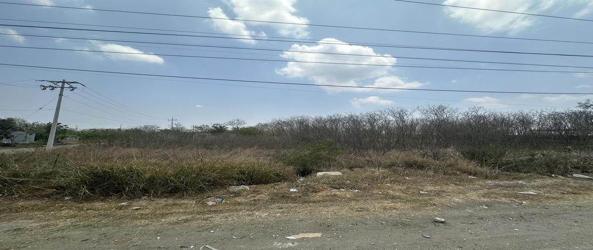 Foto de terreno habitacional en venta en  , rio tamiahua, altamira, tamaulipas, 0 No. 03