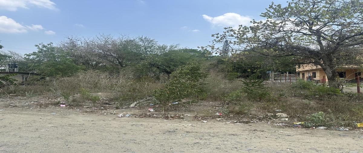 Foto de terreno habitacional en , rio tamiahua, altamira, tamaulipas, 0 foto 02 Foto de terreno habitacional en venta en , rio tamiahua, altamira, tamaulipas, 0 No. 02