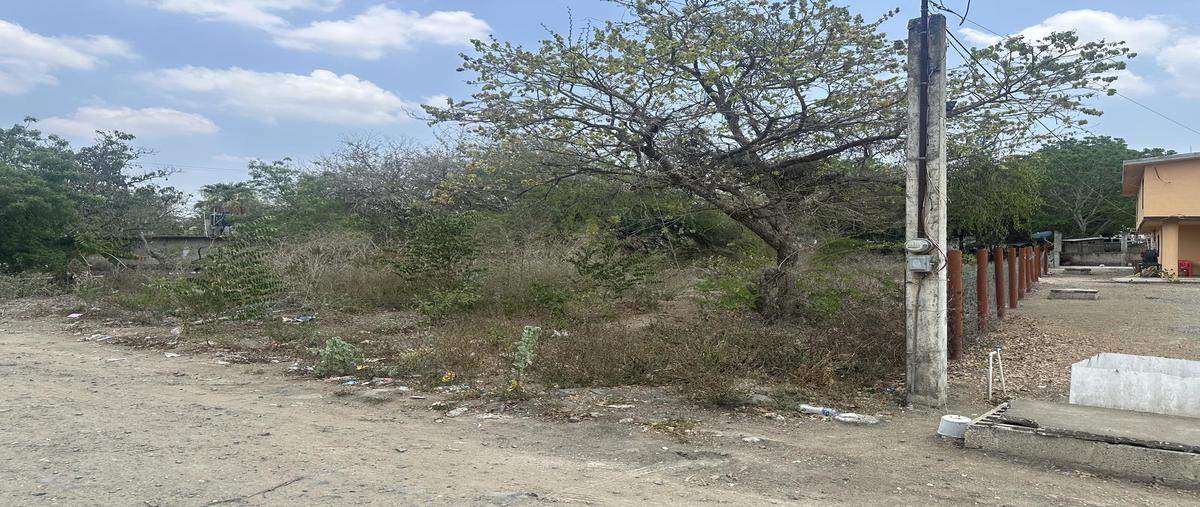 Foto de terreno habitacional en , rio tamiahua, altamira, tamaulipas, 0 foto 03 Foto de terreno habitacional en venta en , rio tamiahua, altamira, tamaulipas, 0 No. 03