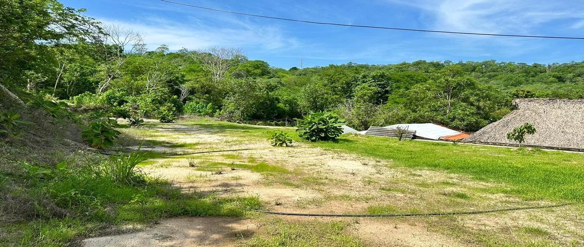 Foto de terreno habitacional en venta en  , río tangolunda (la jabalina), santa maría huatulco, oaxaca, 0 No. 03