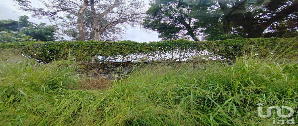 Foto de terreno habitacional en venta en rÃ­o usumacinta 83, vista hermosa, cuernavaca, morelos, 31485682 No. 04
