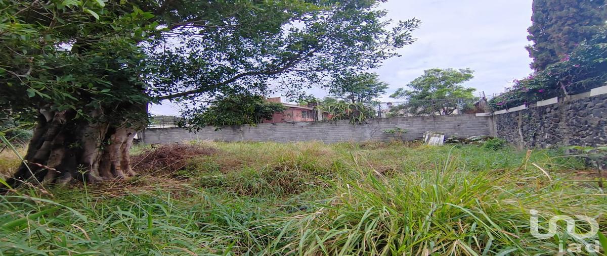 Foto de terreno habitacional en venta en rÃ­o usumacinta 83, vista hermosa, cuernavaca, morelos, 31485682 No. 05