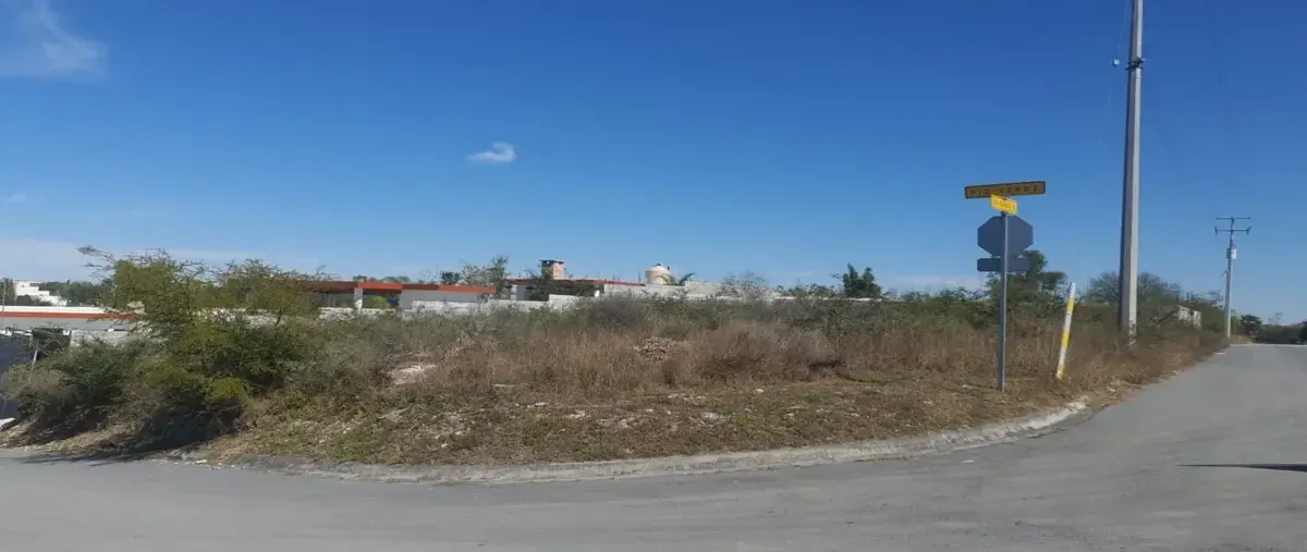Foto de terreno habitacional en venta en rio verde 0, hacienda el barranquito, cadereyta jiménez, nuevo león, 29375174 No. 03
