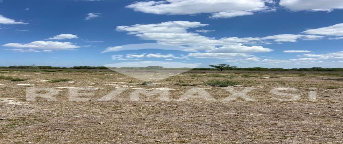 Foto de rancho en venta en rio verde , san francisco, rioverde, san luis potosí, 30764819 No. 03
