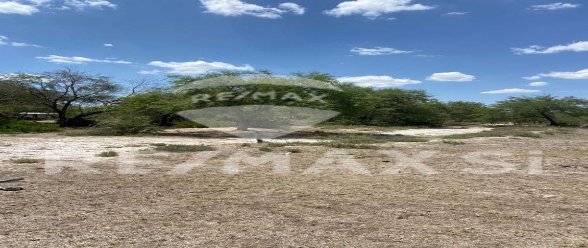 Foto de rancho en venta en rio verde , san francisco, rioverde, san luis potosí, 30764819 No. 04
