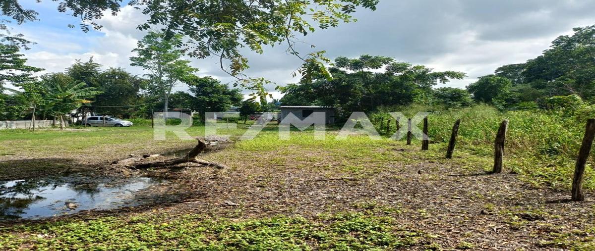 Foto de terreno habitacional en rio viejo 1a seccion , rio viejo 2a sección, centro, tabasco, 0 foto 05 Foto de terreno habitacional en venta en rio viejo 1a seccion , rio viejo 2a sección, centro, tabasco, 0 No. 05